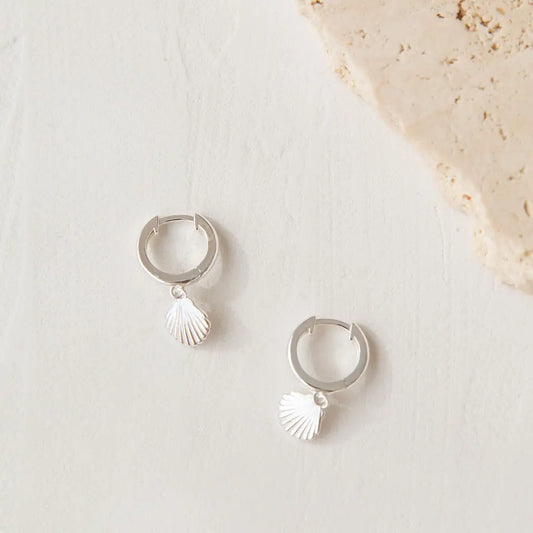 Shells- Silver